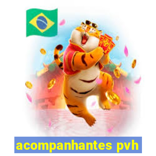 acompanhantes pvh