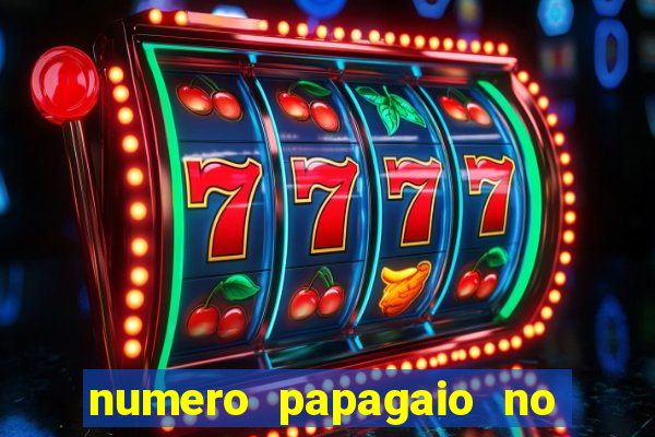 numero papagaio no jogo do bicho