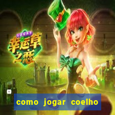 como jogar coelho da fortuna